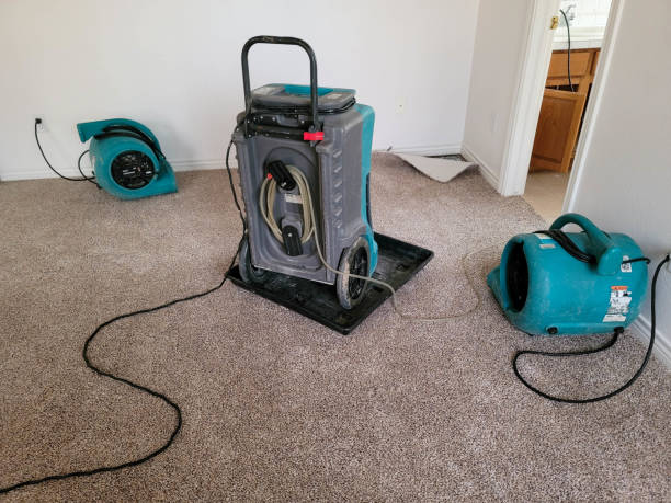 Best Storm and Flood Water Damage Restoration in Mdleton, ID