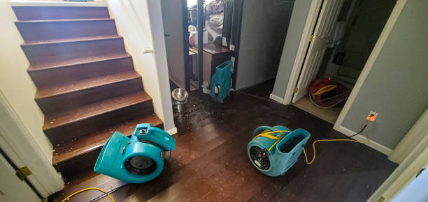 Best Crawl Space Water Damage Solutions in Mdleton, ID
