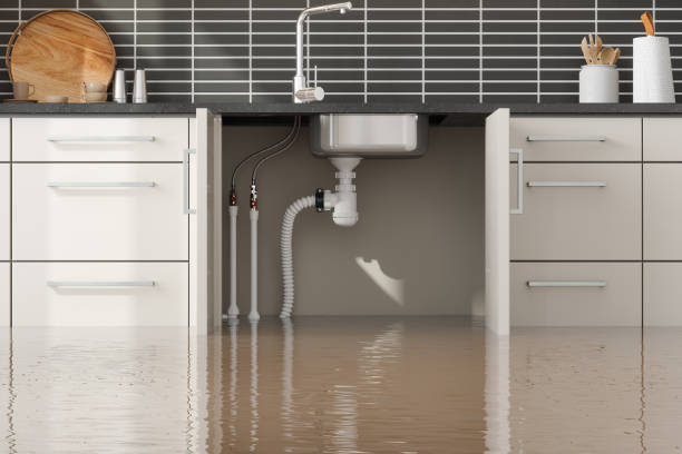 Best Water-Damaged Furniture Restoration in Mdleton, ID